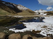61 Ecco un bel laghetto in avanzato disgelo con pascoli che stanno rinverdendo cosparsi di Crocus vernus 